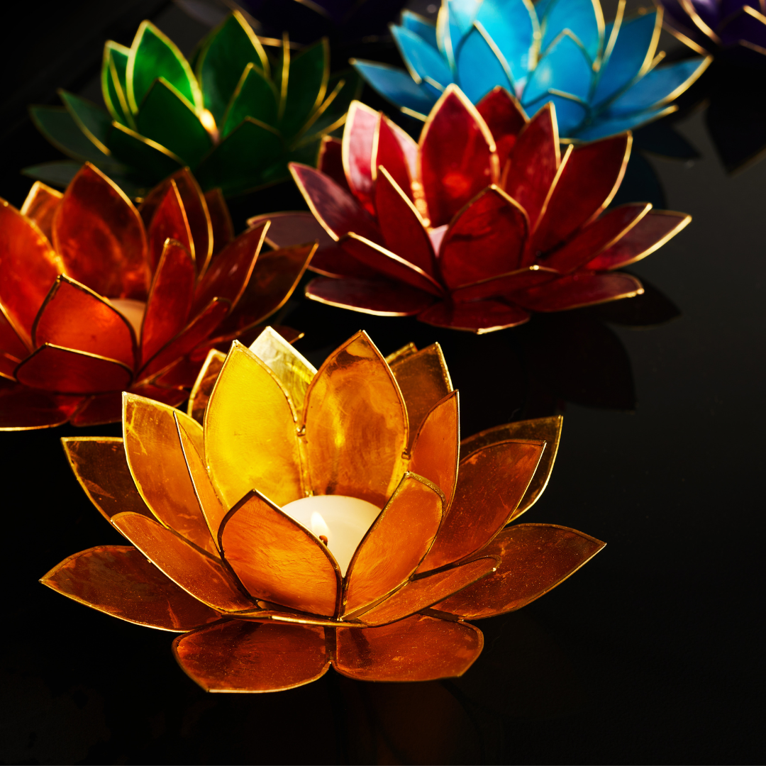 Yoga & Meditation Exploration